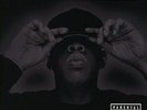 Jay-Z The Black Album [Explicit Content] (2 Lp)