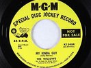 Northern Soul 45 - Willows - My Kinda Guy - MGM - VG+