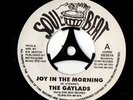 1960s REGGAE   GAYLADS   She want it  / Joy in the morning    VINYL 7