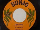 Jo Jo Bennett 