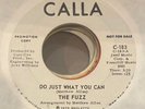 THE FUZZ Promo 7” Do Just What You Can 