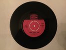 The Spectres Hurdy Gurdy Man 1966