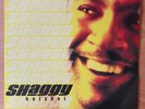 Shaggy - Hot Shot 2 x LP, original and only one vinyl issue, US 2000