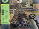 JAIMIE BRANCH FLY OR DIE (WORLD WAR) LP PEACOCK COUTURE PRESSING NEW & UNPLAYED