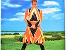 David Bowie - Earthling - Friday Music – FRM-42627 (2015) VG/VG