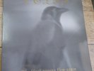 Veles – The Black Ravens Flew Again -  lp '  --der sturmer goatmoon