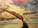 VINYL LP ALBUM 