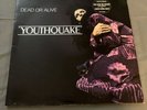 DEAD OR ALIVE Youthquake 1985 Vinyl Record LP