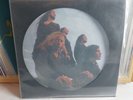 Paradise Lost - Gothic / Picture LP / orig. UK press / Peaceville 1991 - LESEN