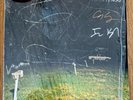 Yo La Tengo / This Stupid World / 2023’Vinyl / SIGNED BY THE BAND / Shrink NM-