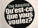 The Amazing QuEst-Ce Que Vous Voulez? Vinyl Single 12inch Hot Tracks