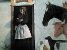 Vashti Bunyan Just Another Diamond Day LP Vinyl NEW