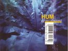Hum - Downward Is Heavenward  | [Black Vinyl LP] | Earth Analog