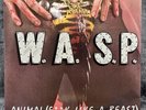 W.A.S.P. – Animal | UK Pressung Maxi Gold Vinyl Limited Schallplatte Rock