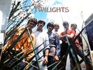 The Twilights - The Twilights Vinyl LP Record / Australia 1969 / VG+ / Psych...