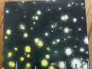 Wavering Radiant [LP] by Isis (Vinyl, Jan-2009, Ipecac Records) Used D Side Fair