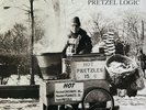 Vinyl - STEELY DAN - Pretzel Logic (ALBUM, LP)