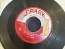 The Robins Riot In Cell Block #9/Wrap It Up 45 Rpm Doo Wop Soul Vocal Group 7”