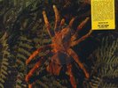 The Web - Theraphosa Blondi - Picture Disc Vinyl LP - ( UK  1969 ) reissue  DOL