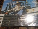 Jimmy Buffett A White Sport Coat And A Pink Crustacean   Vinyl LP MCA 37026