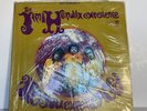 The Jimi Hendrix Experience – Are You Experienced - Vinyl LP 1968