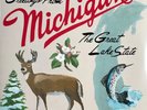 2xLP Sufjan Stevens Greetings From Michigan: The Great Lake State NEAR MINT