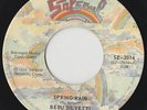 Bebu Silvetti - Spring Rain (7