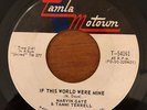 Marvin Gaye & Tammi Terrell - If I Could Build My Whole World Around You (7