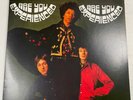 The Jimi Hendrix Experience Are You Experienced Vinyl Record 12” 33RPM 2013 Mono