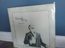 David Gray - Foundling 2010 US 1st - Vinyl Record LP Album Folk Rock Pop NM