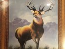 Killdozer ‎– Twelve Point Buck (New LP / Touch And Go T&GLP#48)
