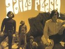 DAILY FLASH, The - The Legendary Recordings 1965-1967 (remastered) - 2xLP