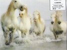 Georg Danzer, Garish - Weisse Pferde (7