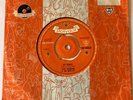 The Beatles with Tony Sheridan - My Bonnie 45 - stunning