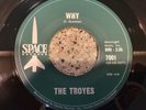 THE TROYES Why / Rainbow Chaser 1967 Garage NM  7