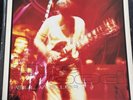 Paul Weller Wild Wood Live Rare Vinyl