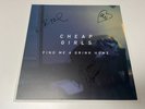Autographed  CHEAP GIRLS Find Me A Drink Home - 2008 Los Diaper LP w/insert VG++