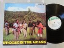 60s SKA REGGAE - REGGAE IN THE GRASS .. Vinyl LP Album STUDIO 1 . .   EXCELLENT