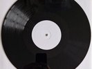 Wiley Kat - The Morgue 12