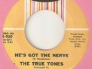 THE TRUE TONES Hes Got The Nerve JOSIE NORTHERN SOUL USA 45