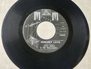 Little Prince & Freeloaders DOO WOP 45 Nursery Love / Say It M and M VG+++ HEAR