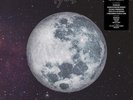 ACHILLE LAURO - 1969 ACHILLE IDOL REBIRTH LP VINILE LIMITED Sigillato
