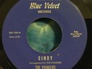 The Pioneers 45 Cindy / Railriders Blues BLUE VELVET Rare FOLK