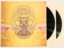 Devendra Banhart Vinyl What Will We Be 2XLP 180g 2009 Original Press WB 520962-1