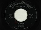 Garage 45 - Fugitives - Bo Diddley - Shoestring - obscure