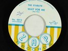 Garage Fuzz 45 - The Starlite - Wait For Me - Zap - obscure