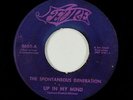 Garage Psych Fuzz 45 - Spontaneous Generation - Up In My Mind - Fevre