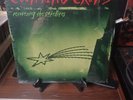Counting Crows Recovering The Satellites Vinyl 2lp Limited Green