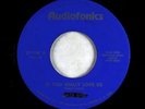Psych/Folk 45 - Daze End - If You Really Love Us - Audiofonics - unknown?