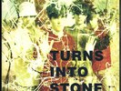 The Stone Roses Turns Into Stone Vinyl Record M/M